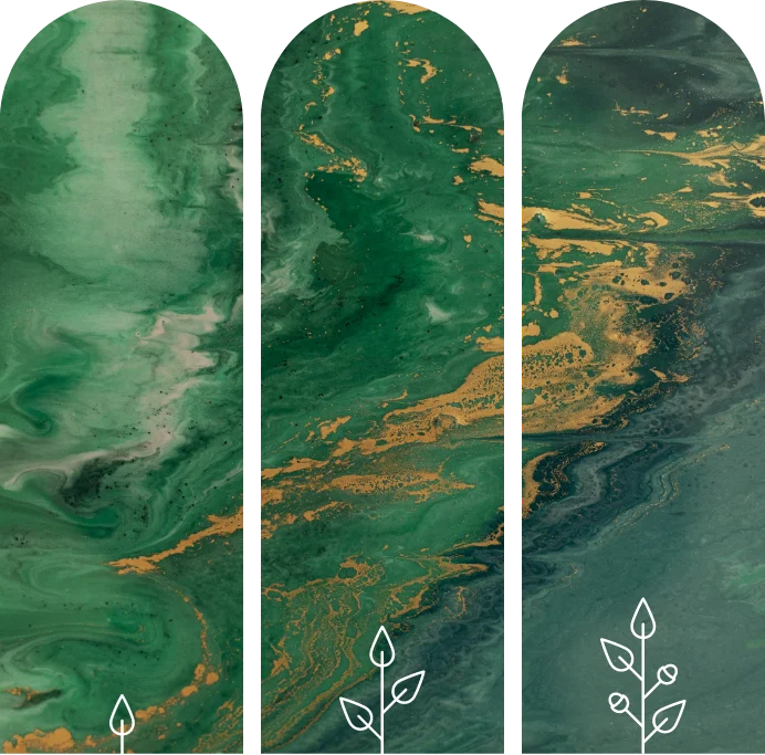 Tuinonderhouden.be – Word zichtbaar als professionele tuinaannemer